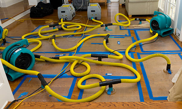 Professional Crawl Space Water Removal technician working in Farmingdale, NY
